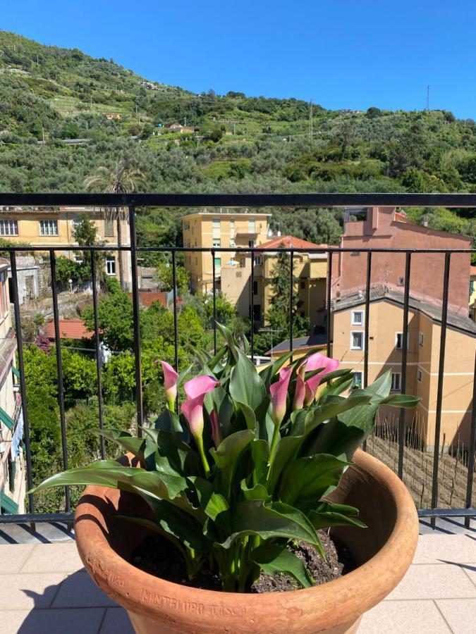 蒙特罗索阿尔马雷La Terrazza Di Monterosso公寓 外观 照片