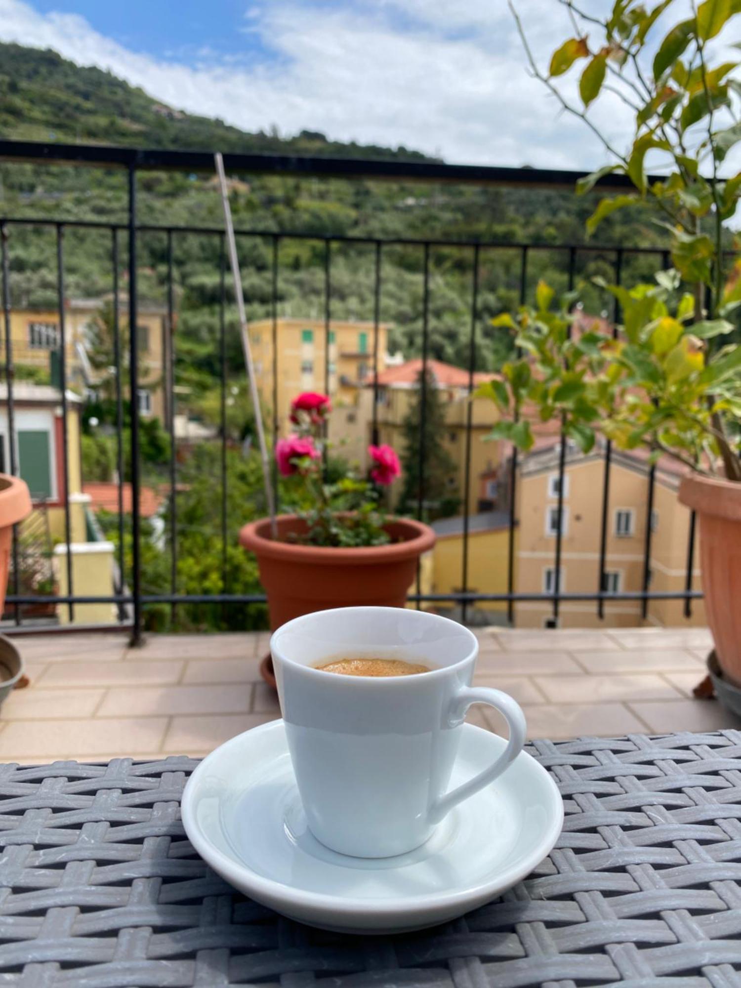 蒙特罗索阿尔马雷La Terrazza Di Monterosso公寓 外观 照片