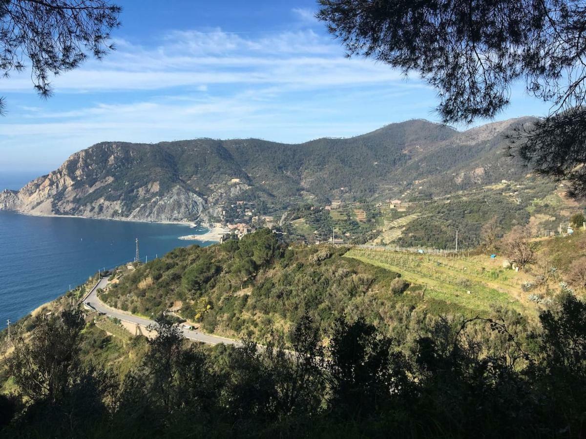 蒙特罗索阿尔马雷La Terrazza Di Monterosso公寓 外观 照片