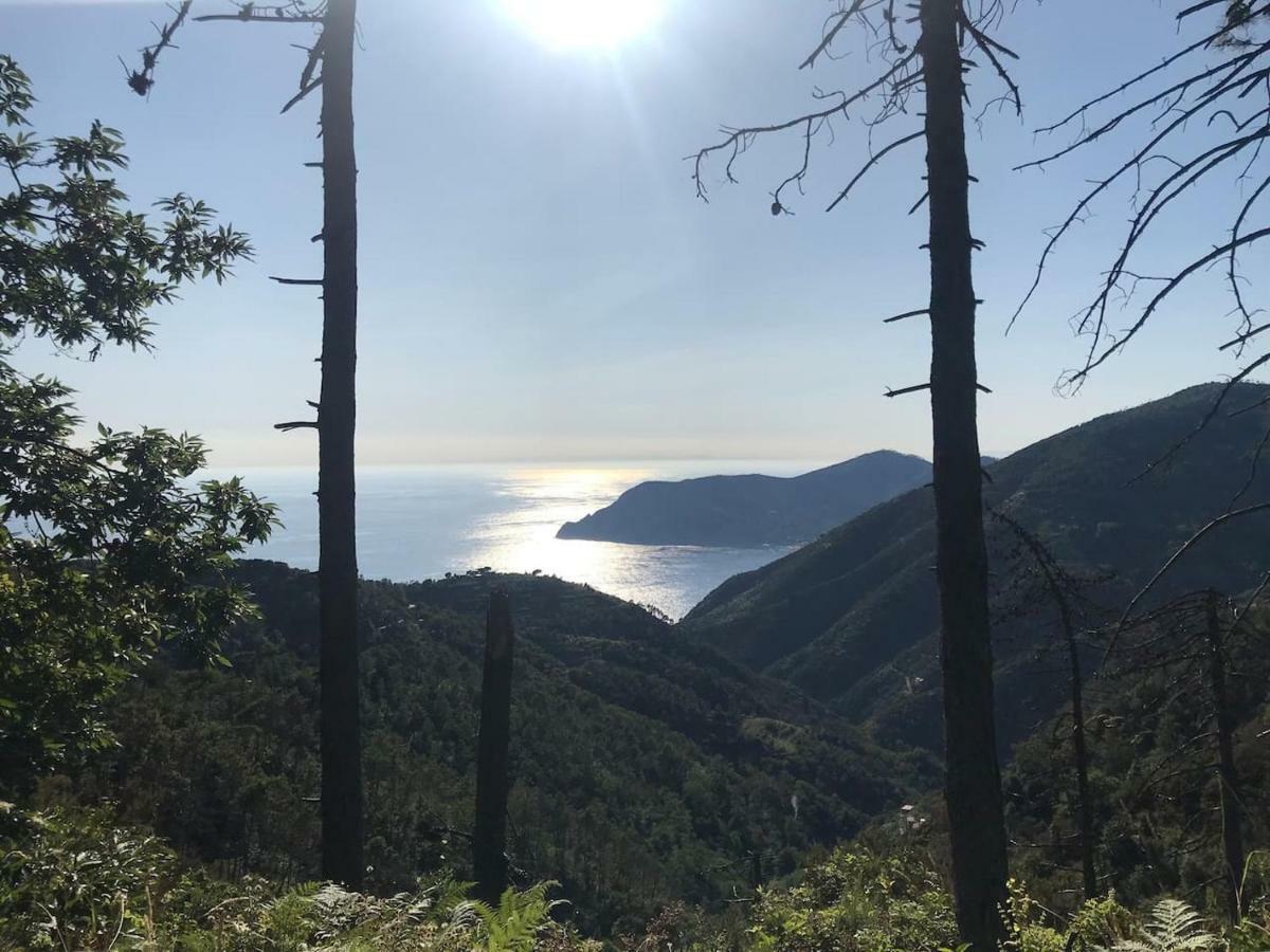 蒙特罗索阿尔马雷La Terrazza Di Monterosso公寓 外观 照片
