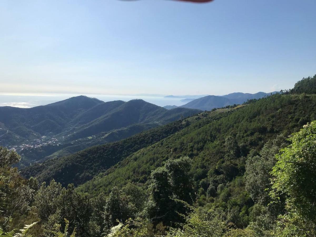 蒙特罗索阿尔马雷La Terrazza Di Monterosso公寓 外观 照片